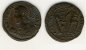 CONSTANS --- CENTENIONALIS Alexandria ***